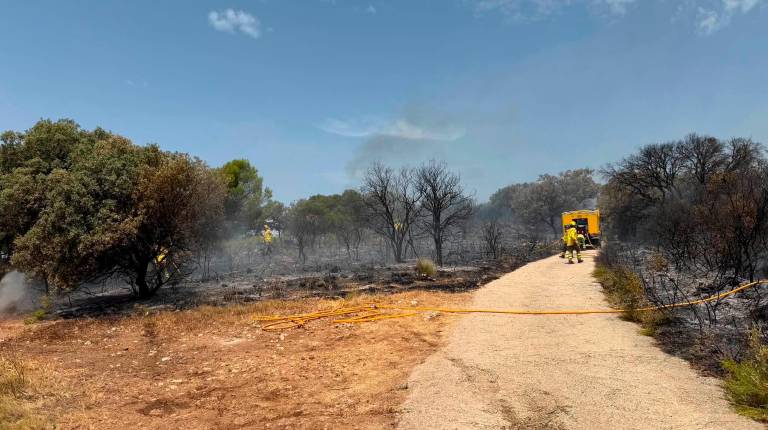 <i>Labores de extinción en el fuego declarado en Fuensanta de Martos. / Facebook de Antonio Navas Espinosa. </i>