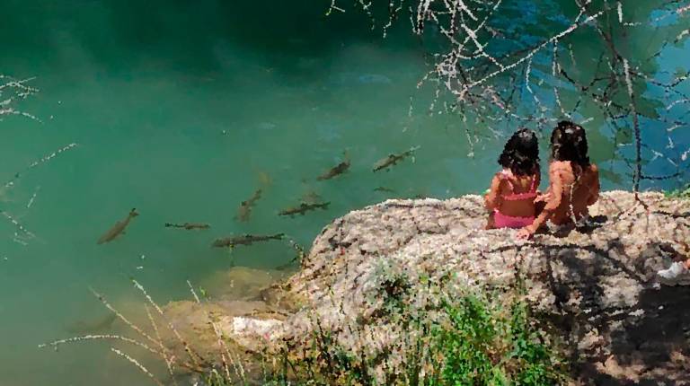 <i>Niñas observan las truchas a orillas del río Borosa, este verano. /Diario JAÉN.</i>