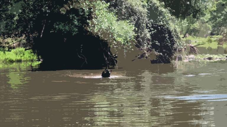 <i>Río Jándula, en Lugar Nuevo, Andújar, zona de altas temperaturas. | Diario JAÉN.</i>
