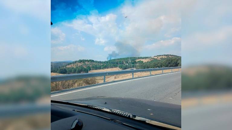 <i>El humo visto desde la carretera. / Plan Infoca. </i>