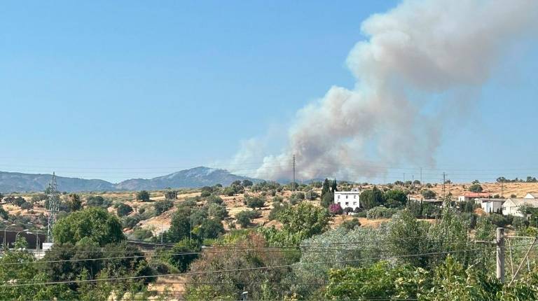 <i>Incendio forestal en un paraje de Cerro Muriano, en Córdoba, junto a la carretera N-432, que ha obligado a desalojos preventivos y se ha activado la situación operativa 1. / Europa Press. </i>