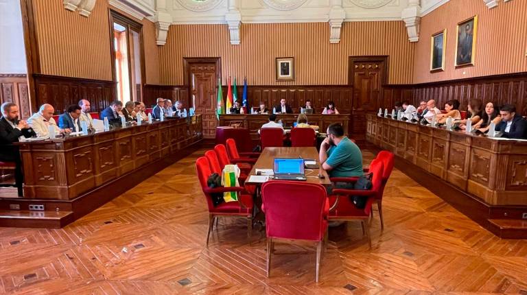 <i>Imagen del último pleno ordinario antes de las vacaciones de verano. / Diputación de Jaén. </i>