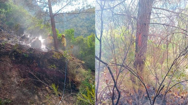 <i>A la izquierda, los agentes extinguen el fuego y, a la derecha, el tronco del árbol donde ha caído el rayo. / Plan Infoca.</i>
