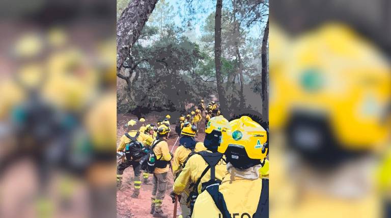 Todos contra los incendios
