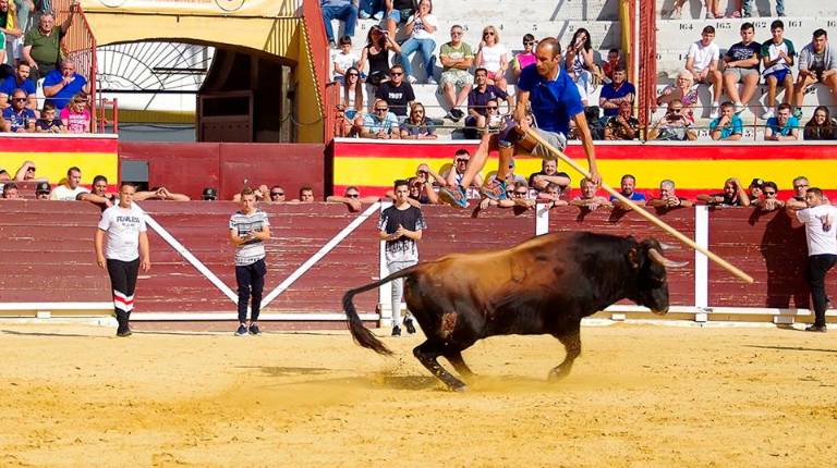 FESTEJOS. <i>Sobre estas líneas, algunos momentos de los encierros de reses bravas así como de la suelta de los mismos, con muchos de los vecinos enfrentándose a los animales. Debajo, numerosas mujeres acuden a una de las exposiciones que tienen lugar estos días con motivo de la programación festiva.</i>