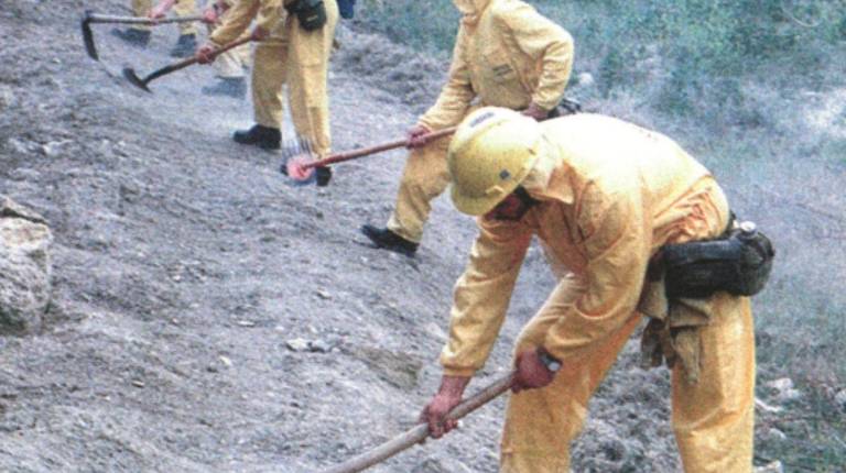 <i>El retén de Huelma realiza tareas de limpieza en un paraje cercano al Cedefo de Sierra Mágina. / Archivo Histórico de Diario JAÉN.</i>