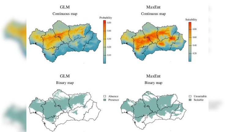 <i>Mapas con la expansión del hongo del suelo causante de la verticilosis, una de las enfermedades más importantes del olivar andaluz y que más pérdidas de producción causa. / IASC-CSIC. </i>