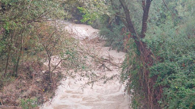 Así baja el río Campillo tras el paso de la tormenta por Carchelejo