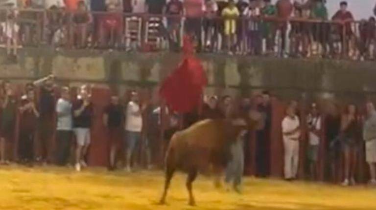 <i>Momento exacto de la cornada. / Mundotoro.</i>