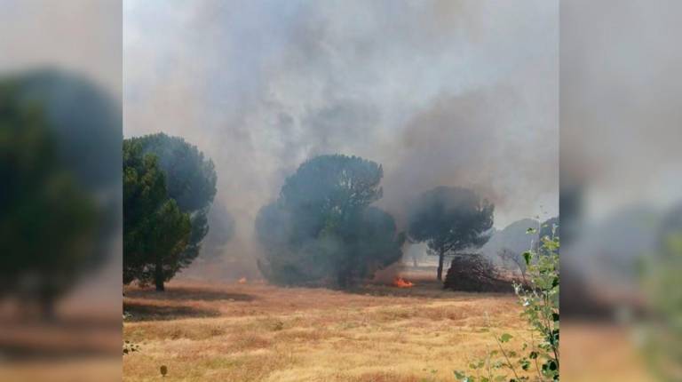 <i>Incendio en Santa Elena (Jaén). / Plan Infoca. </i>