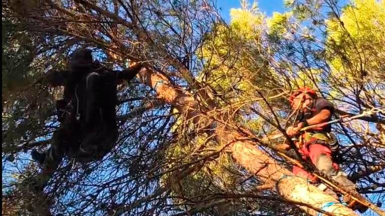 Los Bomberos de Jaén rescatan ileso a un parapentista francés atrapado en la copa de un pino en Sierra Mágina