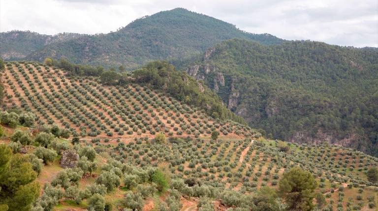 <i>Sierra de Segura. Archivo.</i>