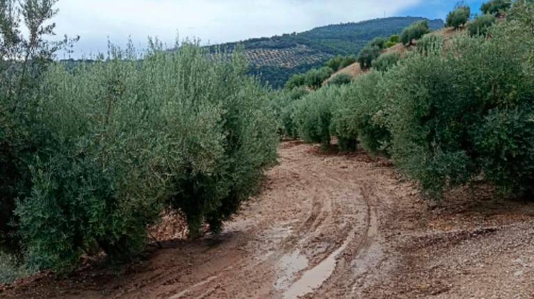<i>Grandes socavones y una acumulación de barro y piedras en caminos del municipio de Carchelejo. </i>