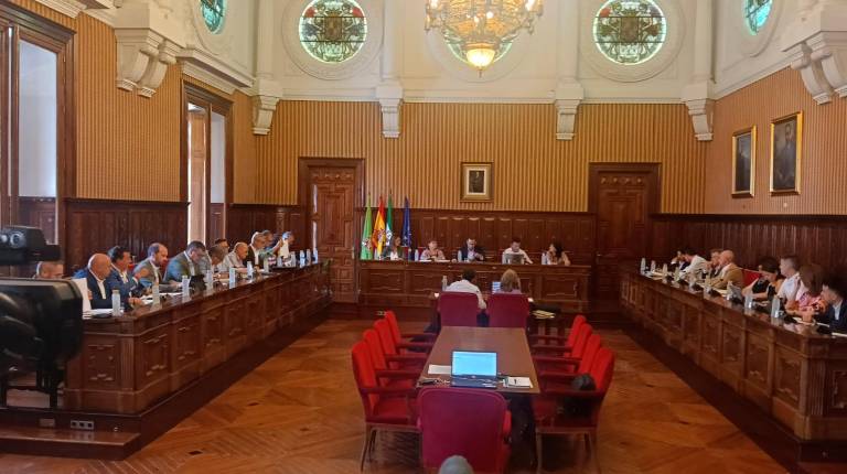 <i>Un instante de la sesión plenaria de Diputación esta mañana. / F. Gaitán / Diario JAÉN.</i>