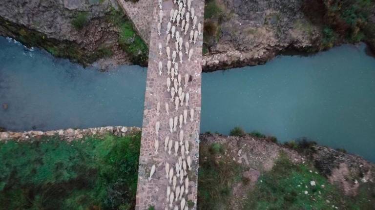 <i>Trashumancia de Segura a Sierra Morena por el Puente Mocho.</i>