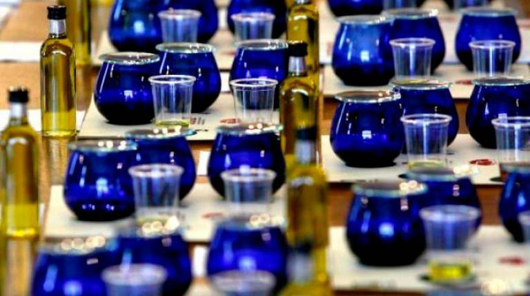 <i>Cata de aceites oliva virgen extra. </i>