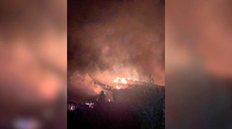 <i>Imágenes de los bomberos de Bedmar en el incendio de Jódar. / Diputación de Jaén</i>