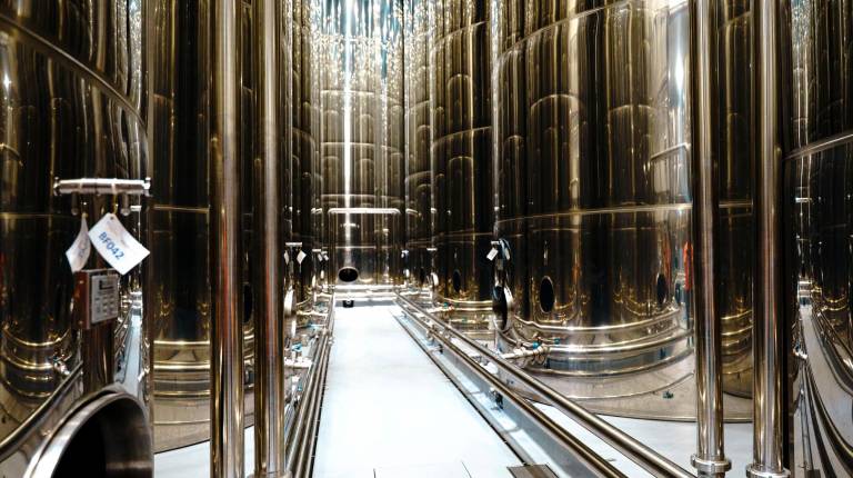 <i>Bodegas de Bravoleum.</i>
