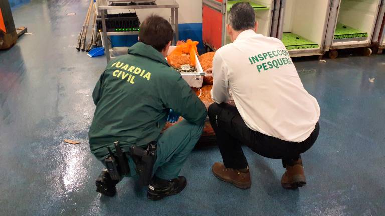 Intervenidos en Guarromán más de 400 kilos de moluscos por carecer trazabalidad para comercializarse