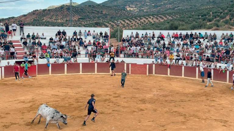 <i>Llegada de los animales y de vecinos del pueblo a la plaza de toros. / Isabel Aranda / Diario JAÉN. </i>