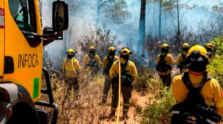 <i>Bomberos del Plan Infoca combatiendo las llamas de un incendio. / Plan Infoca. </i>