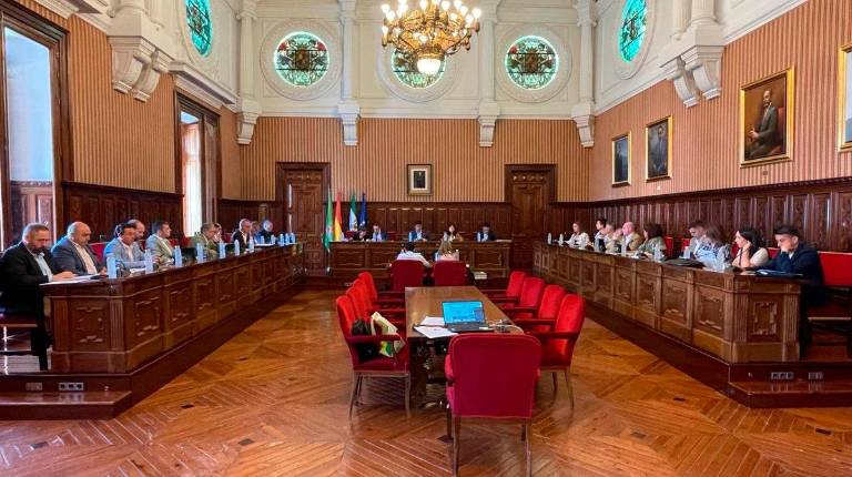 <i>Pleno ordinario de mayo en la Diputación de Jaén. / Diputación de Jaén.</i>