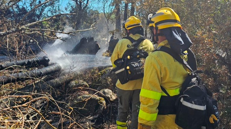 <i>Bomberos forestales trabajan en el remate y liquidación del incendio en la Sierra de Andújar que arrasó cerca de 800 hectáreas. / Europa Press. </i>