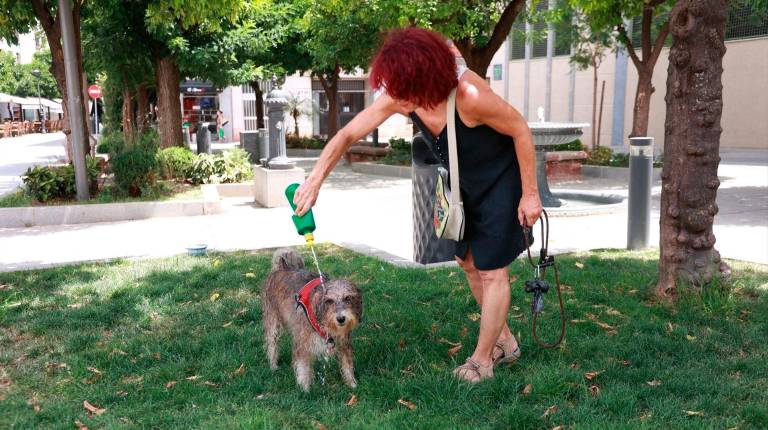 <i>Una mujer refrescando con agua a su perro en Andújar. / Europa Press. </i>