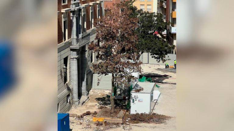 <i>Imagen actual del “magnolio”. / Partido Popular de Jaén.</i>