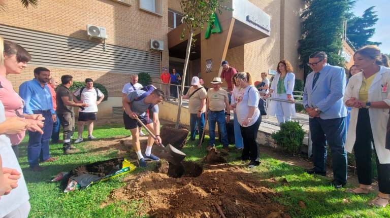 <i>Plantación de árboles en el Hospital San Agustín por el Día Mundial del Medio Ambiente. / Junta de Andalucía.</i>