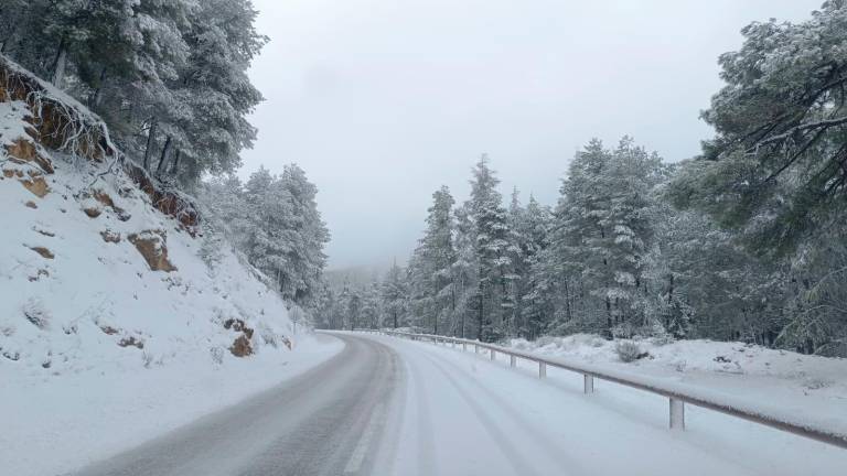 ¡Más de diez centímetros de nieve en El Patronato!
