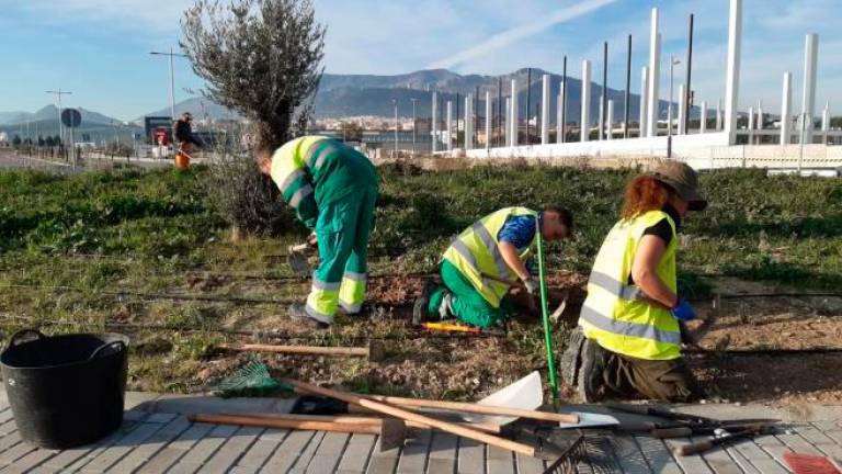 Técnicas sostenibles para conservar los jardines del Jaén Plaza