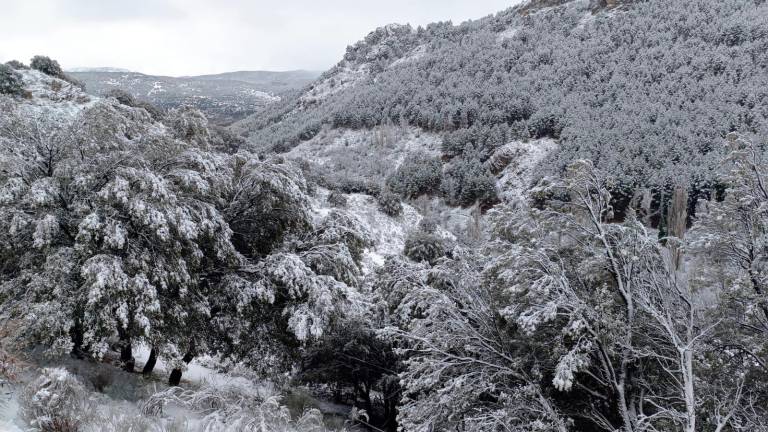 ¡Más de diez centímetros de nieve en El Patronato!
