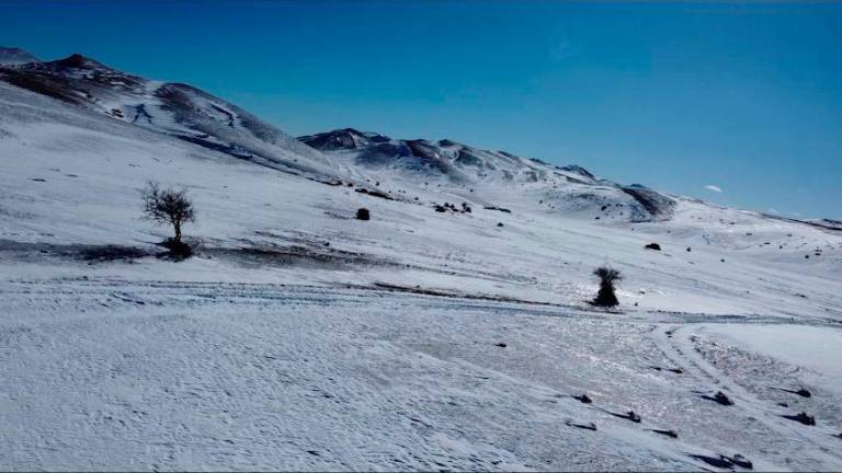 Nieve en el fin del mundo