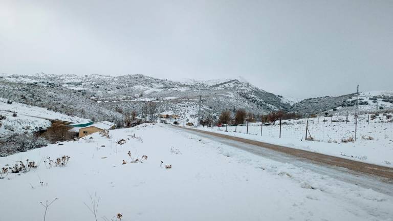 ¡Más de diez centímetros de nieve en El Patronato!