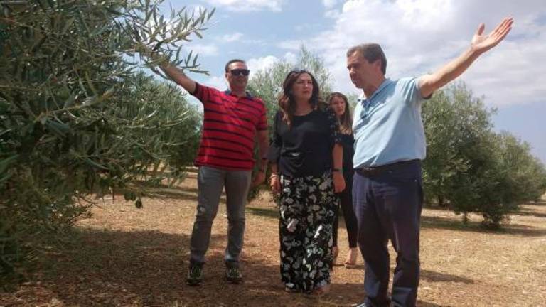 La subdelegada del Gobierno conoce los daños producidos tras la tormenta