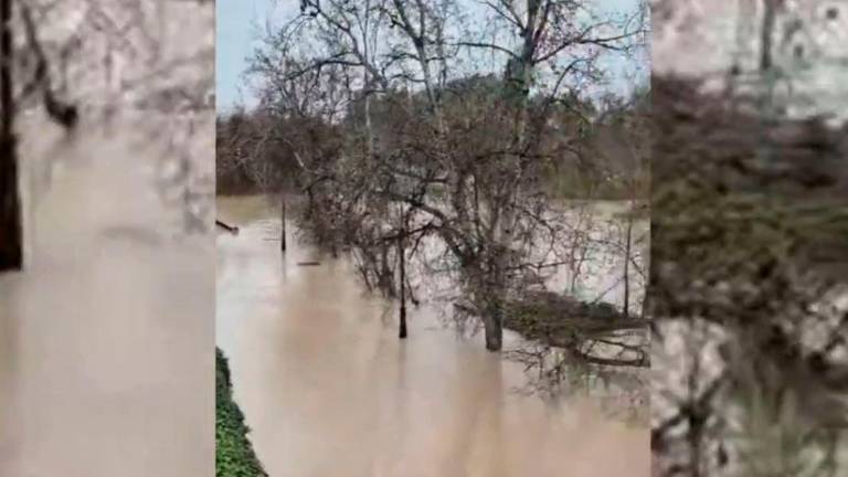 ¿Qué ríos han amanecido en alerta roja?