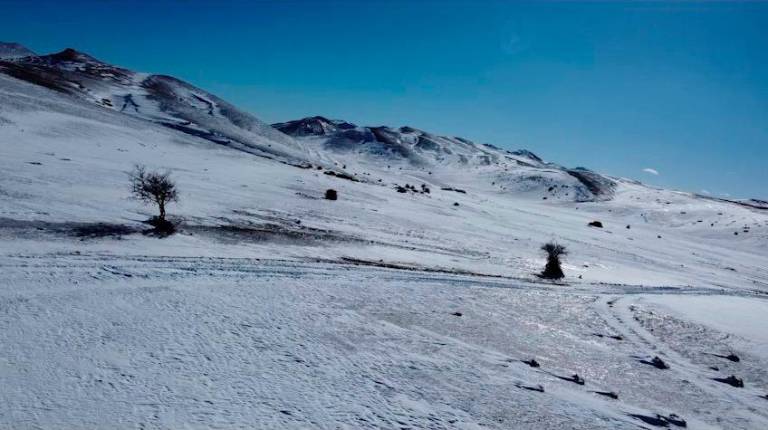 Nieve en el fin del mundo