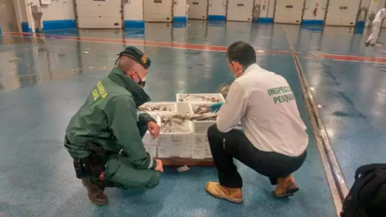 La Guardia Civil interviene en Guarromán 60 kilos de merluza no apta para el consumo