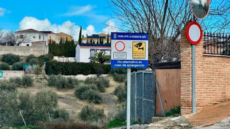 Suspensión cautelar de las cámaras instaladas por La Guardia en La Manseguilla