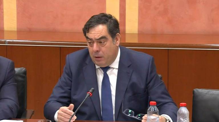 <i>El presidente de la Asociación de Trabajadores Autónomos de Andalucía (ATA), Rafael Amor. / Natascha Tahabsem / Europa Press. </i>