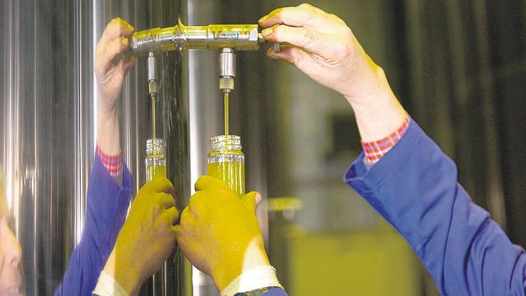 Italia tiene un 32% más de aceite