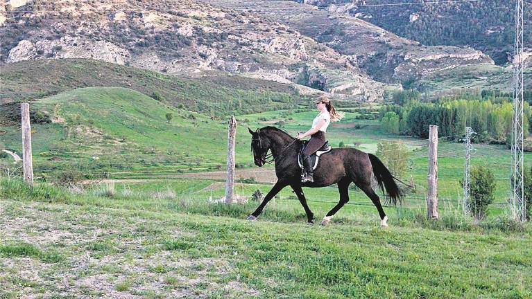 Los caballos ya pueden pasear