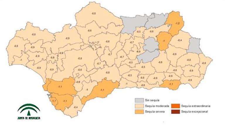Andalucía pierde un 15,56% de agua en un año