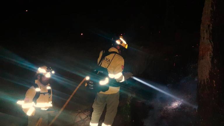 Controlado el incendio forestal en la malagueña Sierra Bermeja