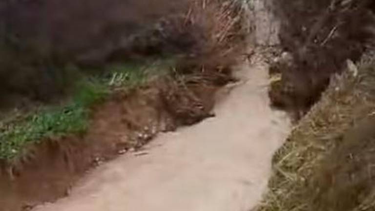 El Arroyo del Oquedal, en Carchelejo, se lleva una carretera