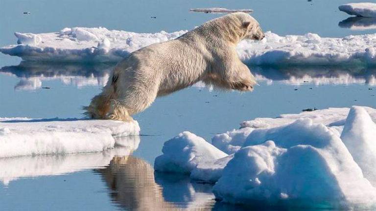 Veranos sin hielo marino en el Ártico en cuestión de años