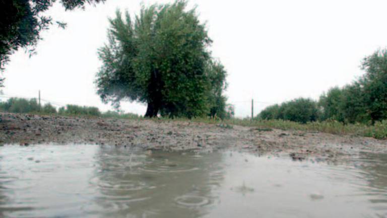 Tal día como hoy en 2008 publicábamos: Noventa litros de agua riegan los campos
