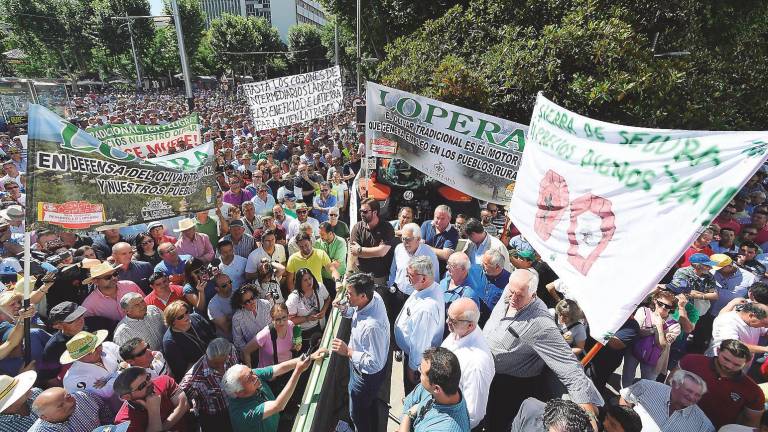 Madrid acoge las protestas por la crítica situación del sector oleícola