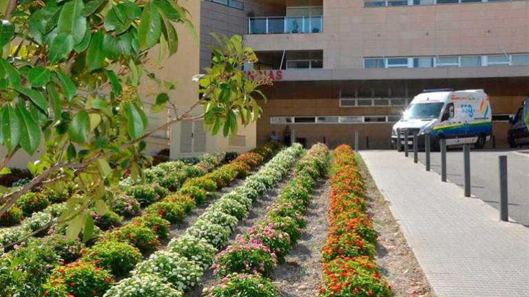 El Hospital de Jaén planta arbustos de bajo consumo hidráulico en sus zonas verdes